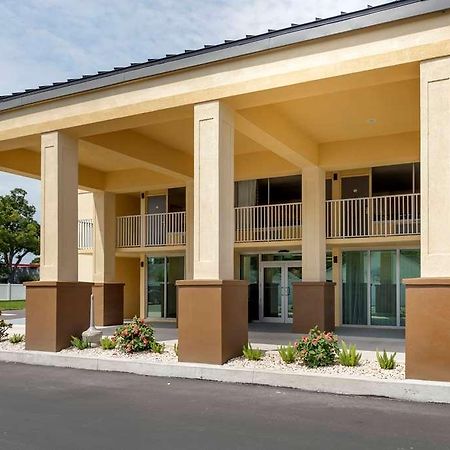 Quality Inn Saint Petersburg North-Tampa Bay Exteriér fotografie